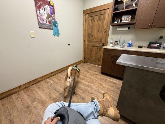 Sanders Animal Hospital