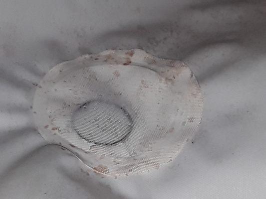 Mildew on shower curtain