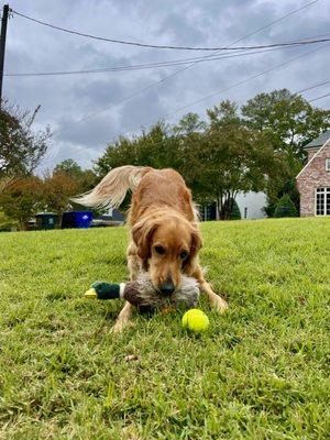 Raleigh Concierge Group