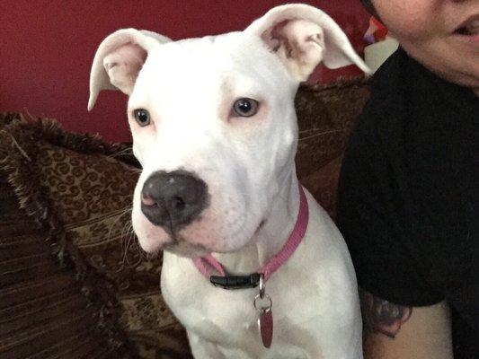 Beltway Animal Hospital