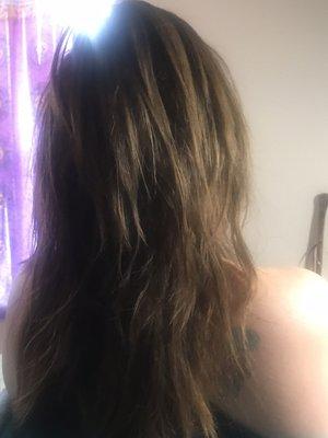 Kim Family Hair Care