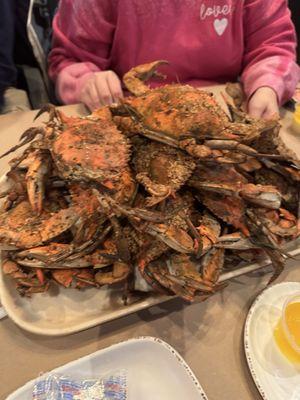 Maryland Blue crab