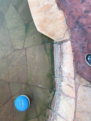 Majestic Pool Services