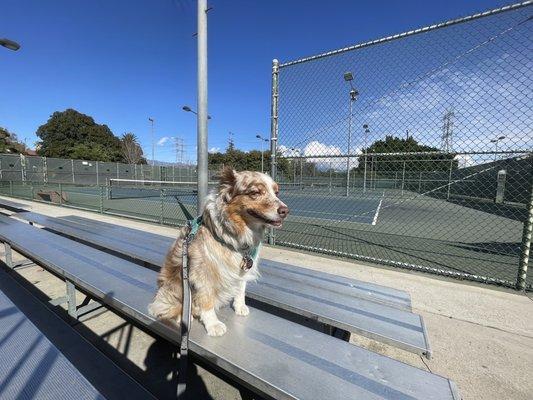 Betty Mae stopped off to watch some tennis 11.1.22