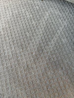 Central Carpet Cleaning