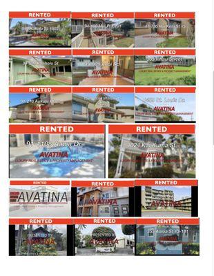 Thomas Wilson - Avatina