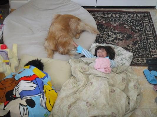 Chelsea's Dog Resort