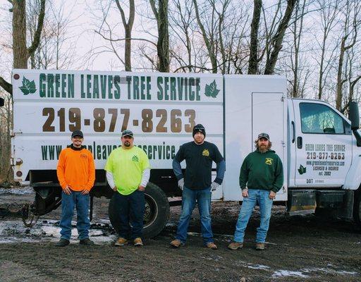 Green Leaves Tree Service