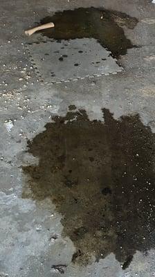 Stevenson Automotive