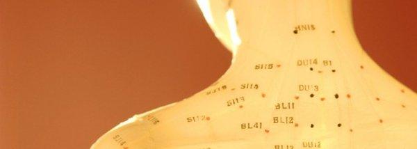 Melissa Stockton, DOM - Acupuncture and Herb Clinic