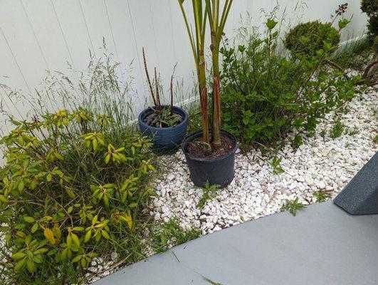 KD Landscaping and Snow Plowing