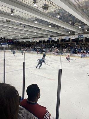 Ice Dawgs Game
