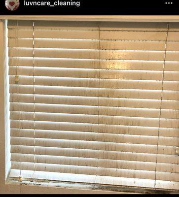 Luv N Care Cleaning Services