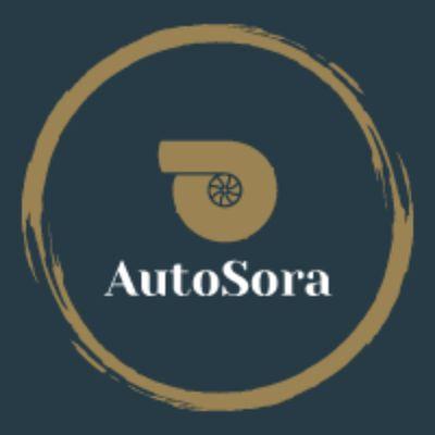 AutoSora