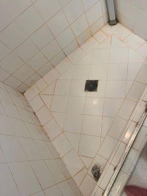 Aracely's Cleaners Services