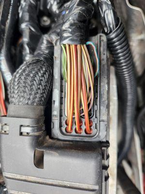 Rio Grande Automotive