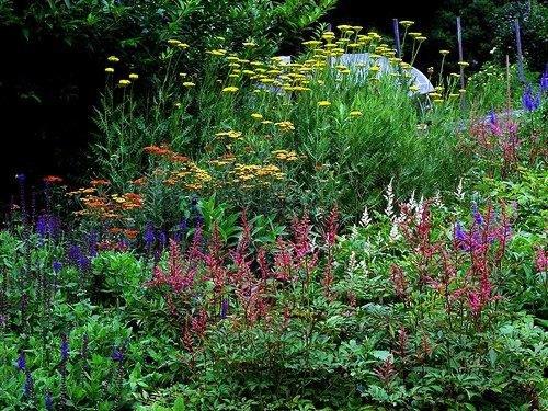 Sharis Berries & Garden