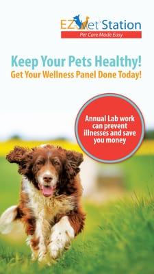 EZ Vet Veterinary Clinic