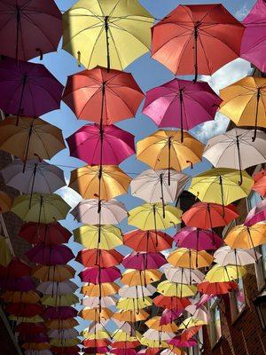 Umbrella Sky Project