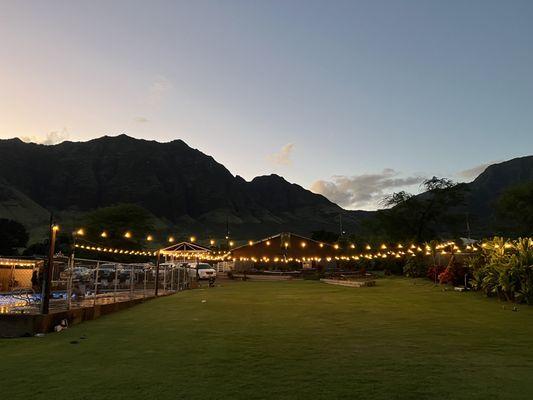 Hali'a Aloha Party Services