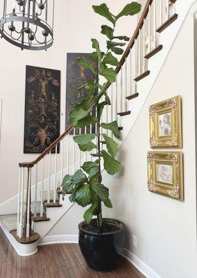 Brown Button Estate Sales