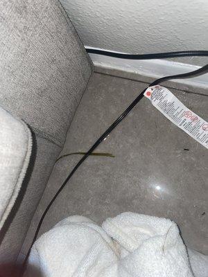 Ashford Willow Falls Apartments