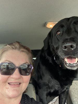 Freedom Service Dogs