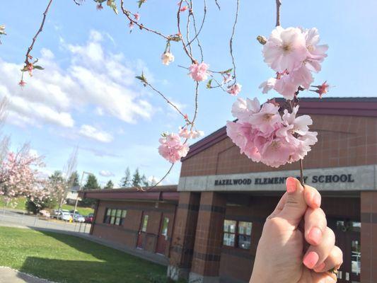 Beautiful day of spring