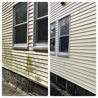 Squeaky Clean Windows