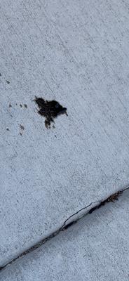 Xpress Lube & Car Wash