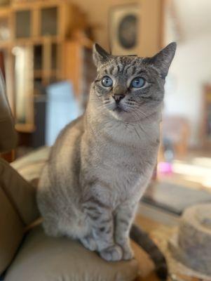 Lyons Veterinary Clinic