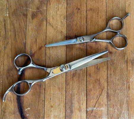 Beauty/salon shears