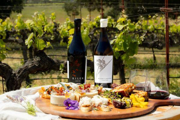 Take in the breathtaking views of the surrounding rolling hills on one of our elevated vineyard tours and tastings.