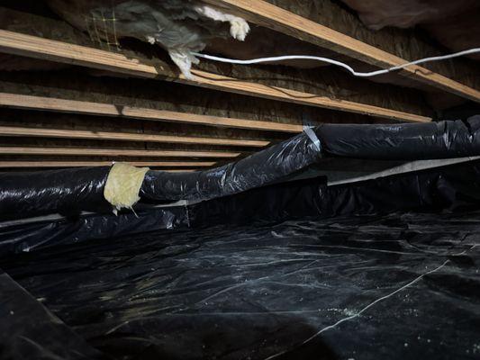 Everything Crawlspace