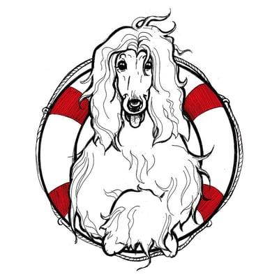 Afghan Hound Rescue of California