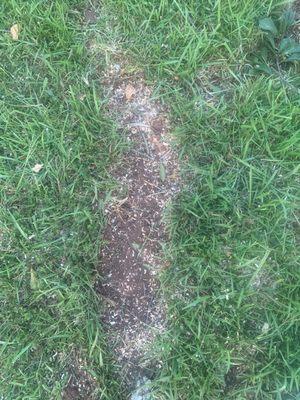 Eastern Tree & Construction LLC