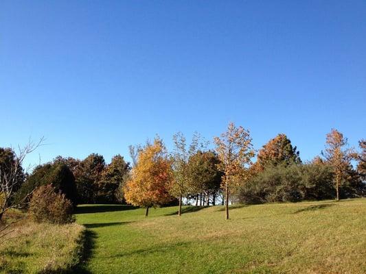 Looking towards the pin on hole 6.