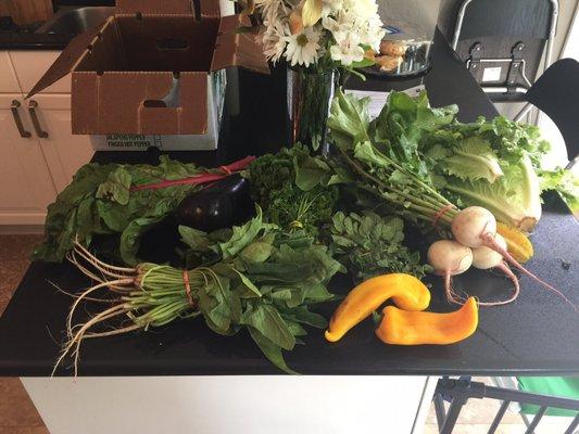 Bee Heaven Farm - Pikarco