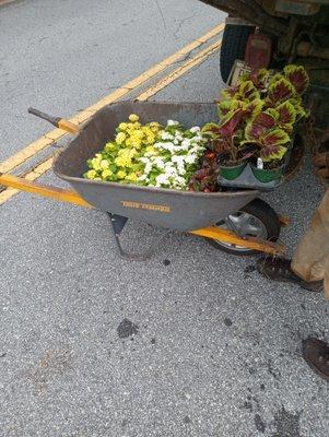 Rokco's Handy Man Service