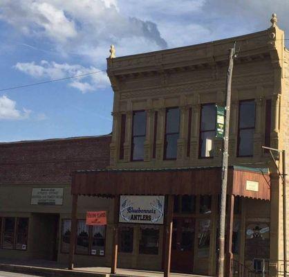 Bluebonnets & Antlers