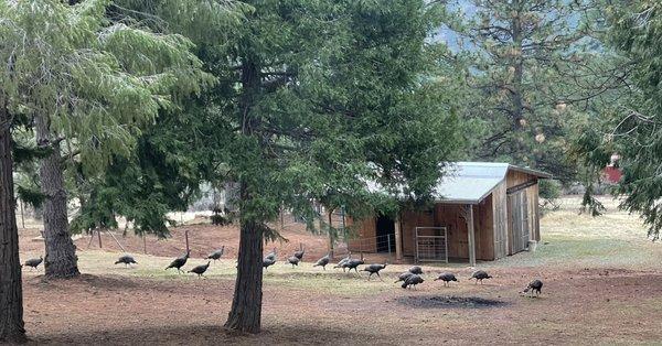 Carol Olson - RE/MAX