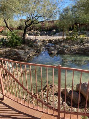 Asap Auto Registration