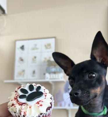 The grand opening snacks were delicious!