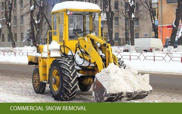 Shade Tree Landscaping