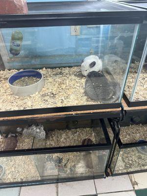 Wicks Water World