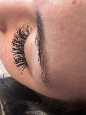 Classic lash set
