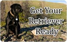 Retriever Training