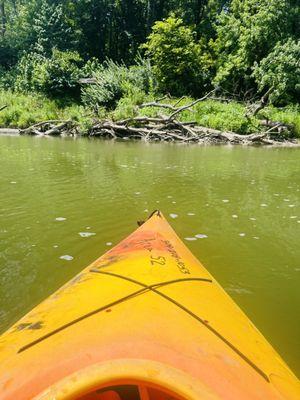 A great time, and we were dropped off and picked up with no delays. Will be back.