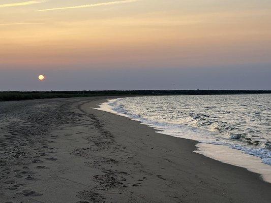 Joseph Sylvia State Beach