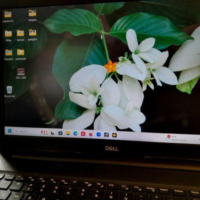 SD Laptop Repair Services